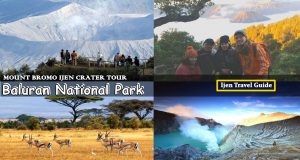 Mount Bromo Ijen Baluran Tour Package 3 Days